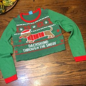Norther Pole dachshund Christmas sweater